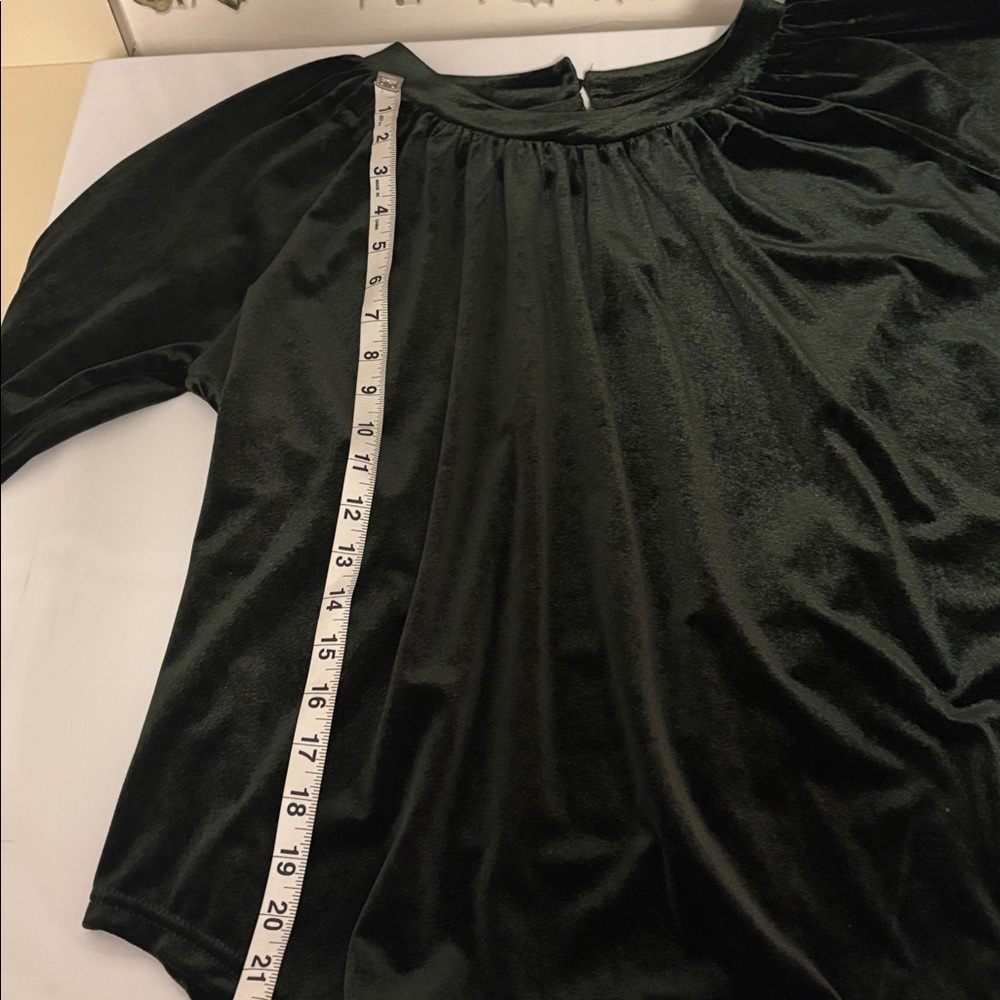 Velvet green top